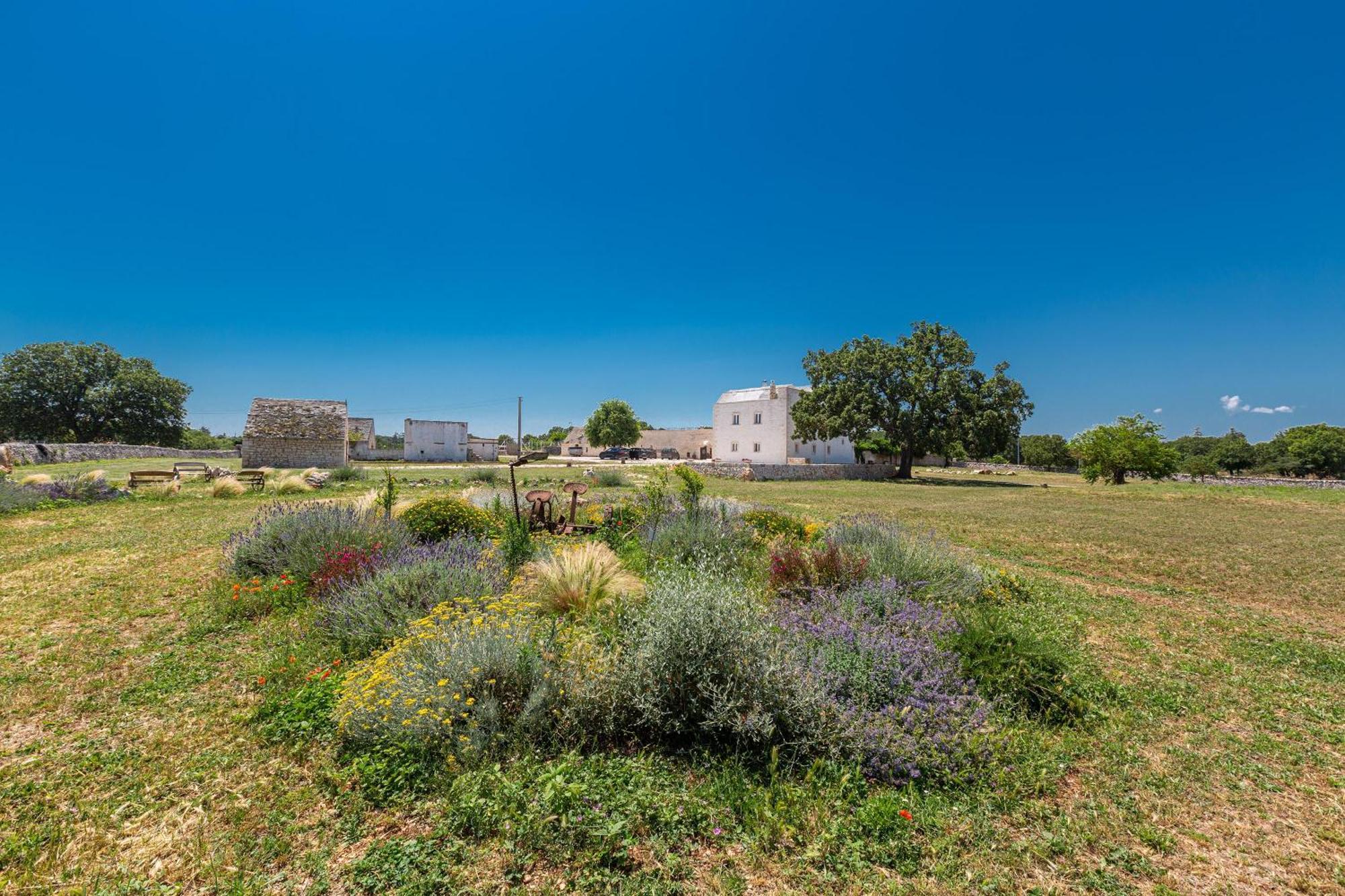 Masseria Nicola Casavola Martina Franca Exterior foto